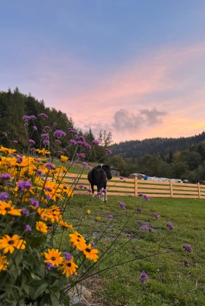 Relaks na tarasie z widokiem na góry