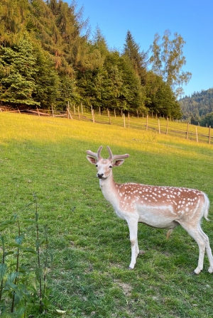 Magiczny klimat gór