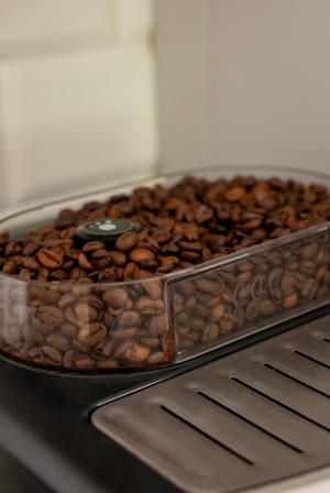 Domek letniskowy dla rodzin z dziećmi Ustroń - kuchnia